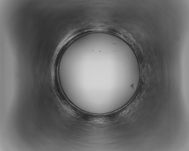 X0000113040344200909171525