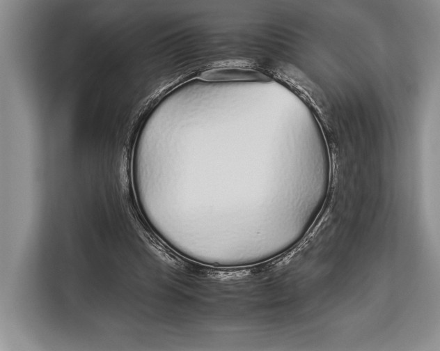 X0000113040345200909171525