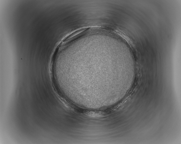 X0000113040346200909171525