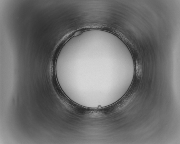 X0000113040348200909171525