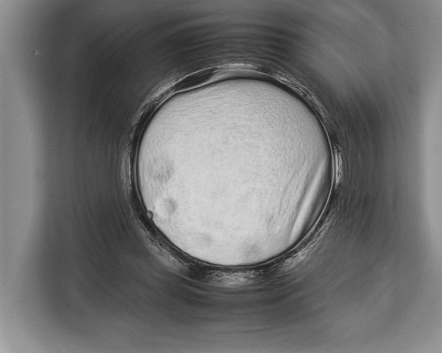 X0000113040349200909171525