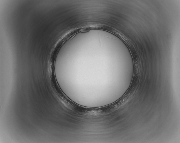 X0000113040350200909171525