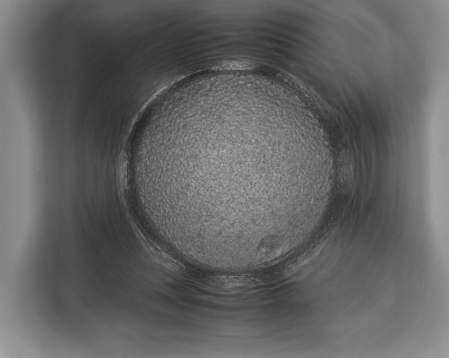X0000113040351200909171525