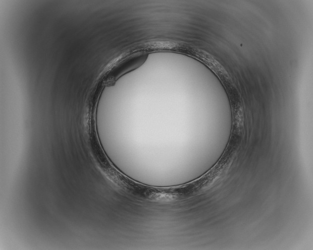 X0000113040352200909171525