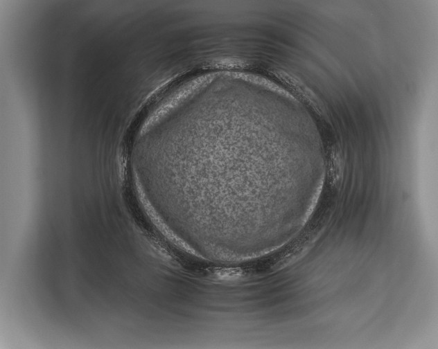 X0000113040355200909171525
