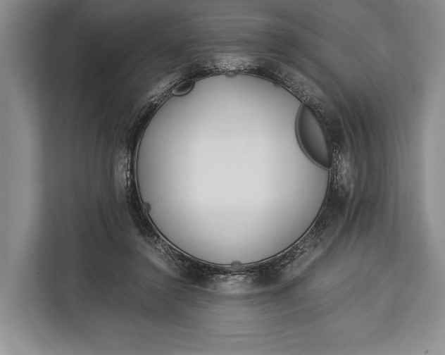 X0000113040356200909171525