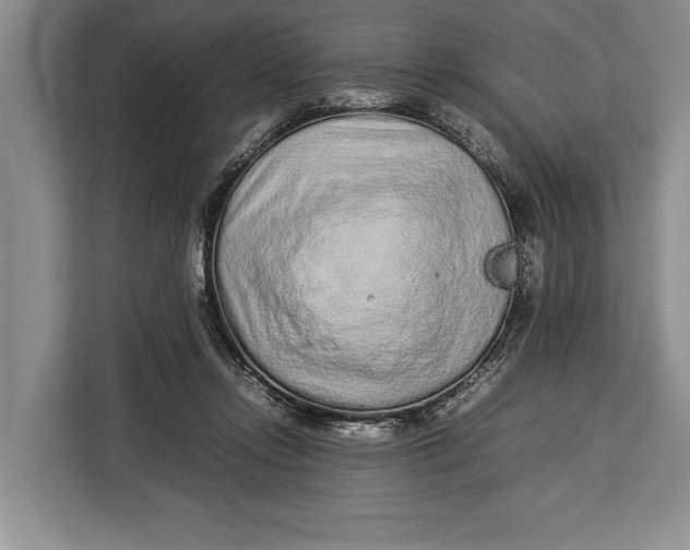 X0000113040358200909171525