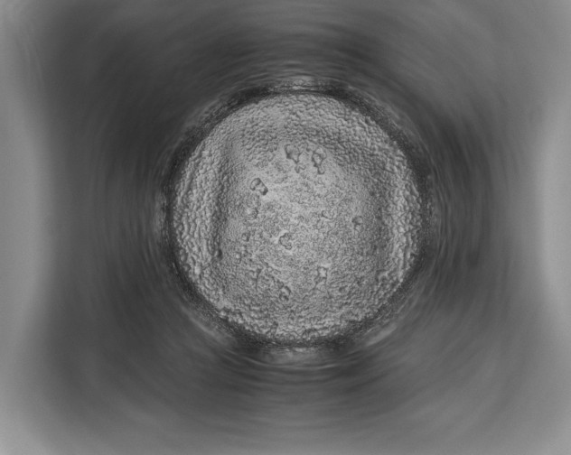 X0000113040361200909171525