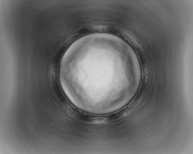 X0000113040363200909171526