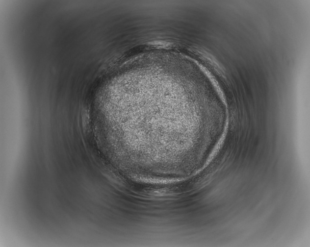 X0000113040365200909171526