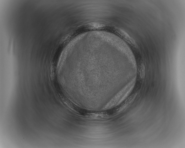 X0000113040366200909171526