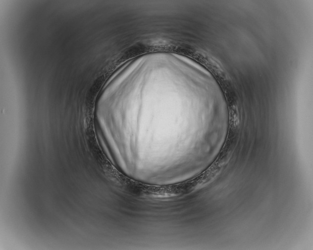 X0000113040369200909171526