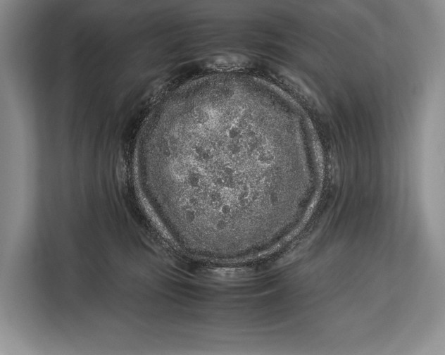 X0000113040371200909171526