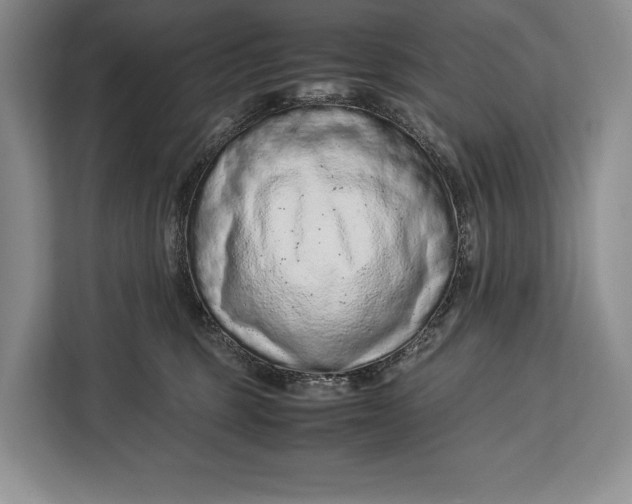 X0000113040375200909171526