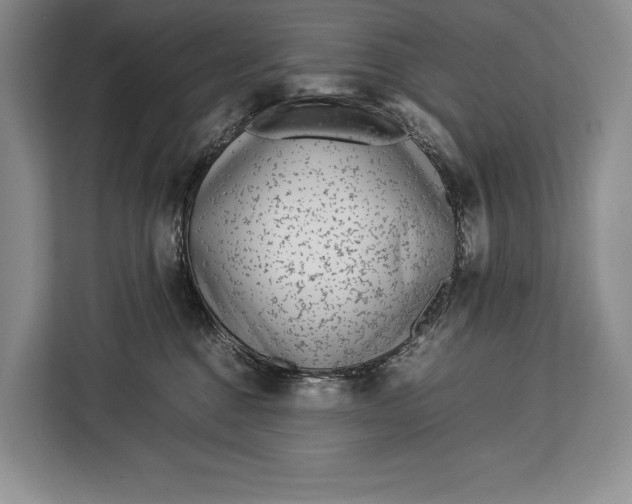 X0000113040376200909171526