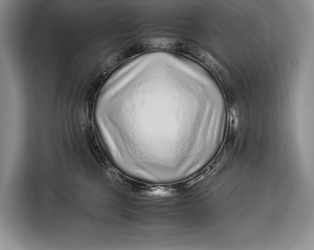 X0000113040377200909171526
