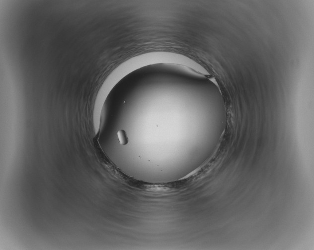 X0000113040380200909171526