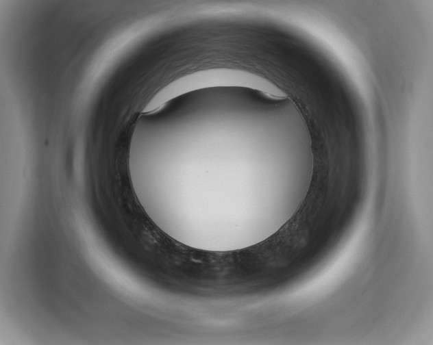 X0000113040382200909171526