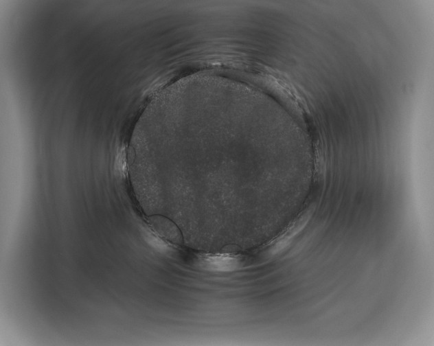 X0000113040383200909171526