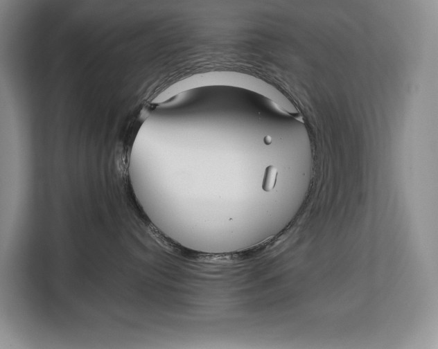 X0000113040384200909171526