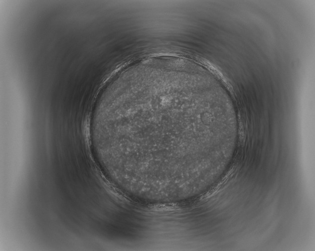 X0000113040386200909171525