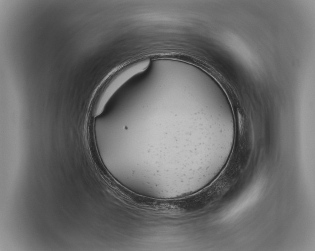 X0000113040387200909171525