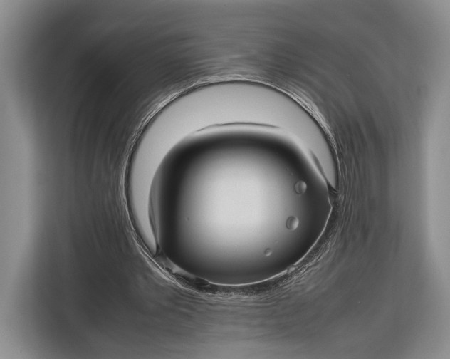 X0000113040389200909171525