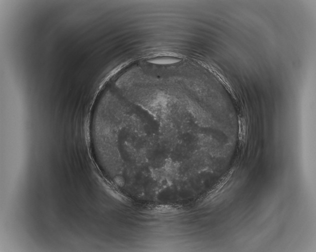 X0000113040390200909171525