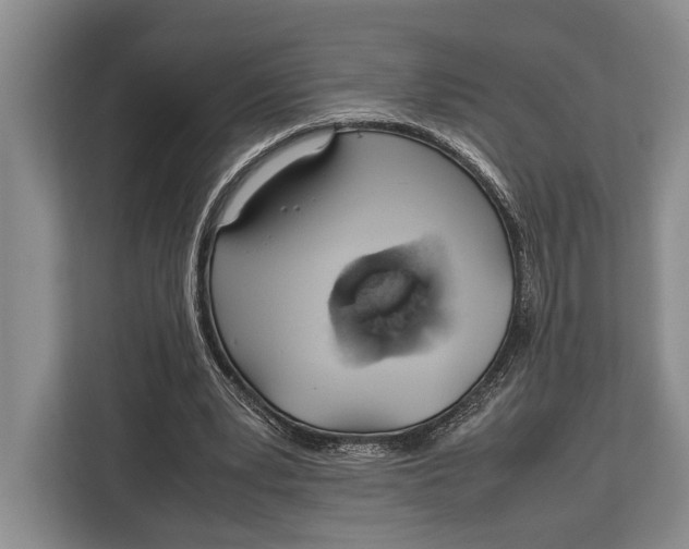 X0000113040391200909171525