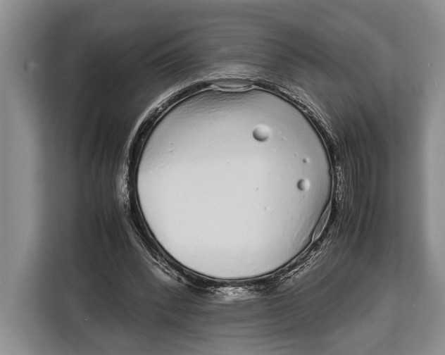 X0000113040392200909171525