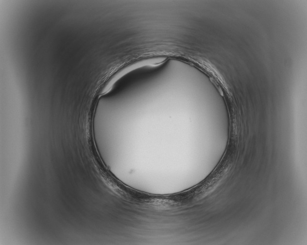 X0000113040393200909171525