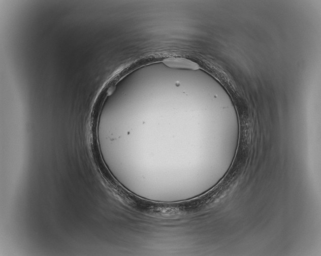 X0000113040395200909171525