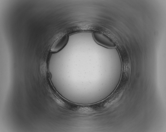 X0000113040397200909171525