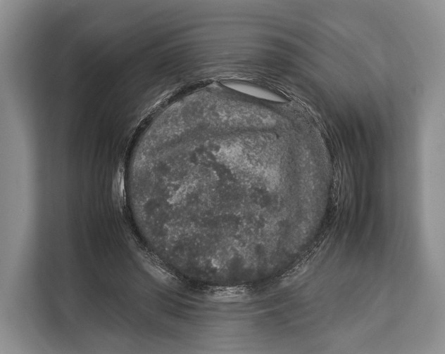 X0000113040398200909171525