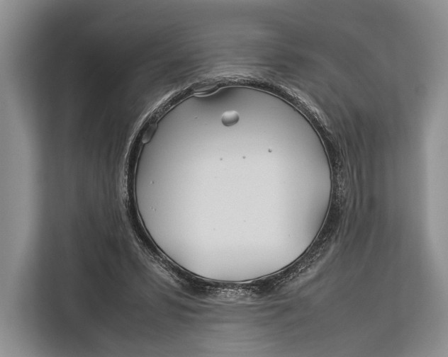 X0000113040399200909171525