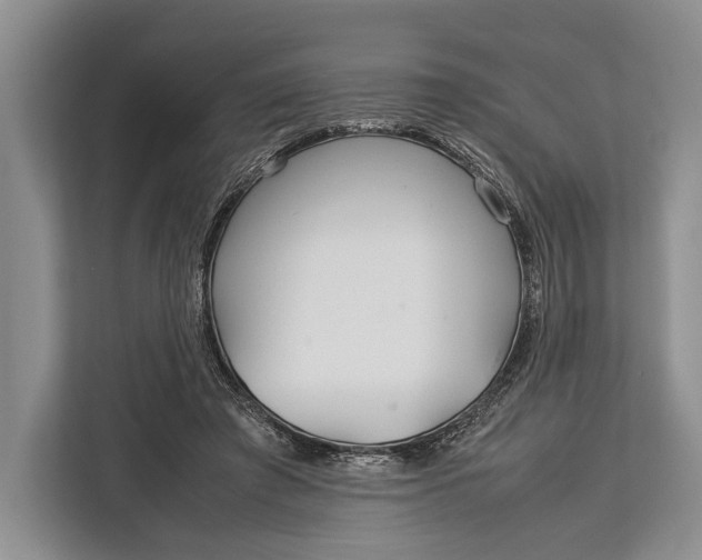 X0000113040401200909171525