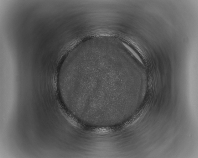 X0000113040402200909171525