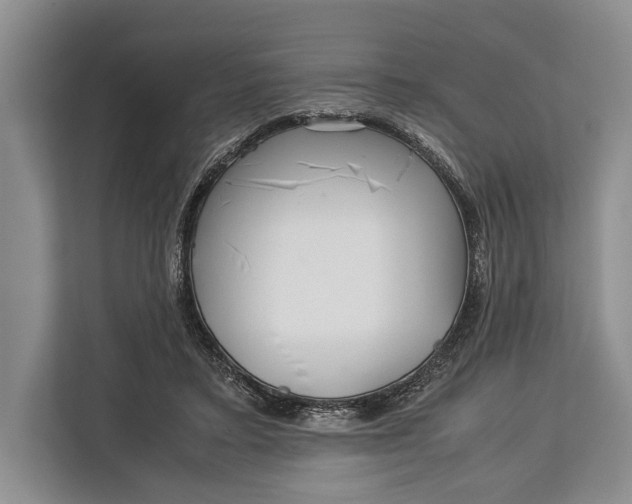 X0000113040403200909171525
