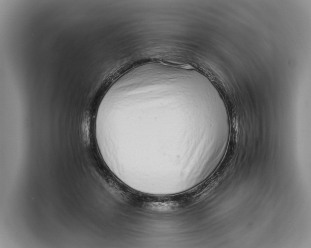 X0000113040404200909171525