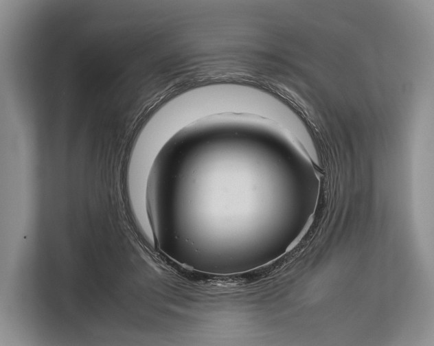X0000113040405200909171525
