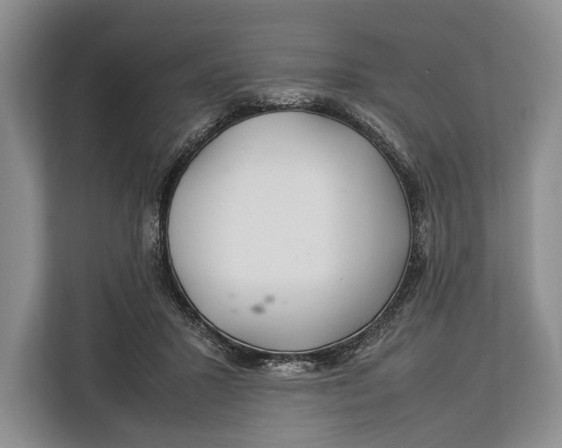 X0000113040407200909171525