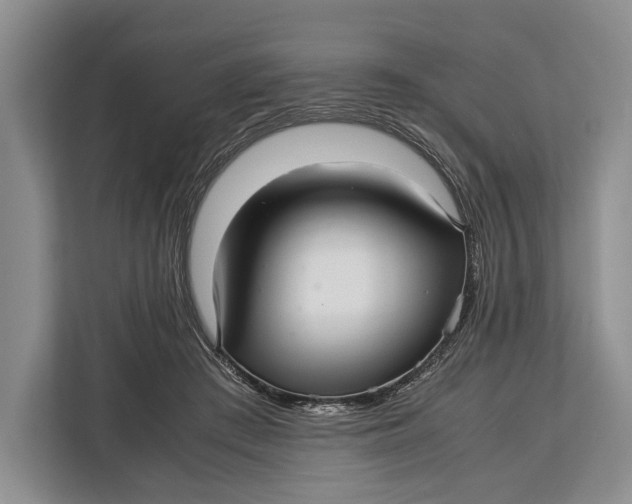 X0000113040409200909171525