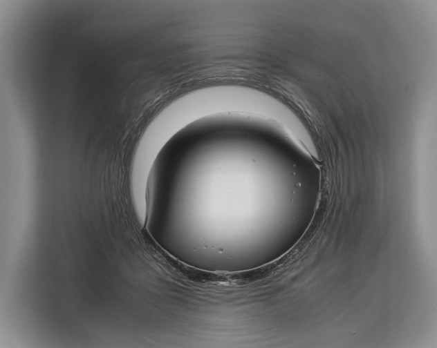 X0000113040411200909171525