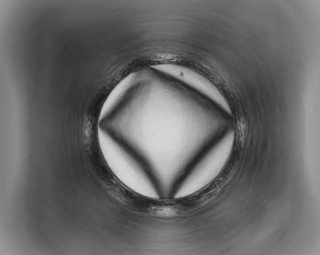 X0000113040412200909171525