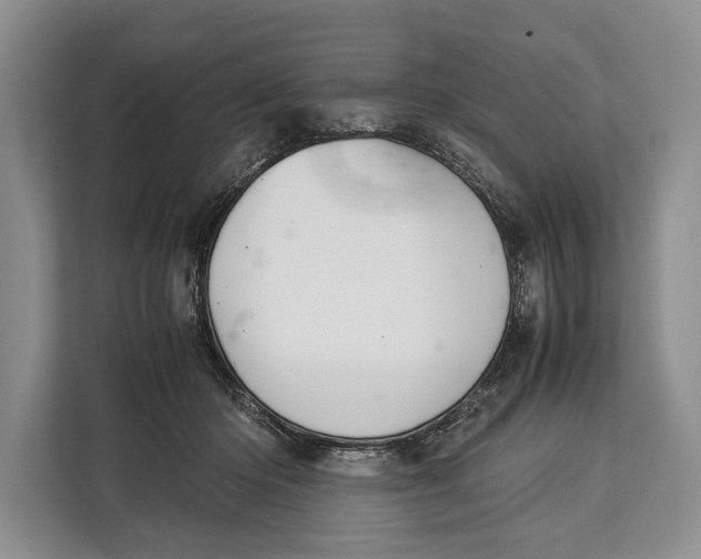 X0000113040414200909171525