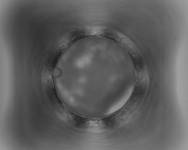 X0000113040415200909171525