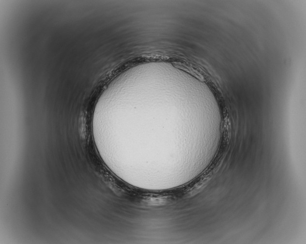 X0000113040416200909171525