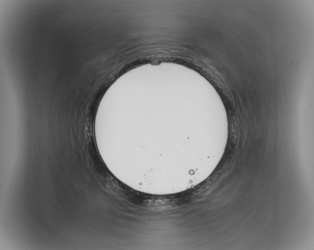 X0000113040419200909171525