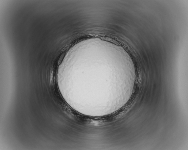X0000113040420200909171525