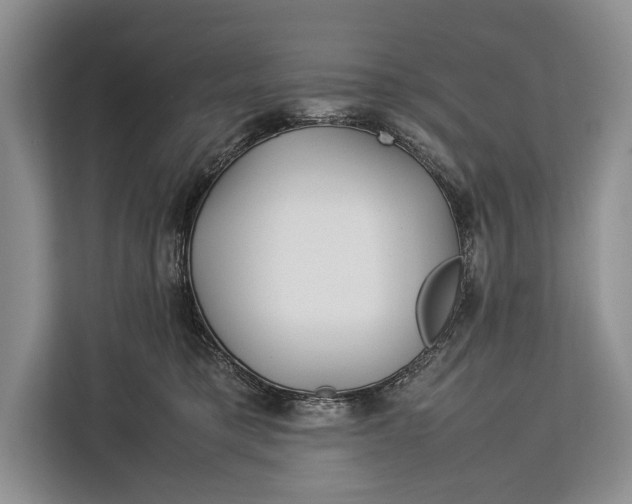 X0000113040421200909171525